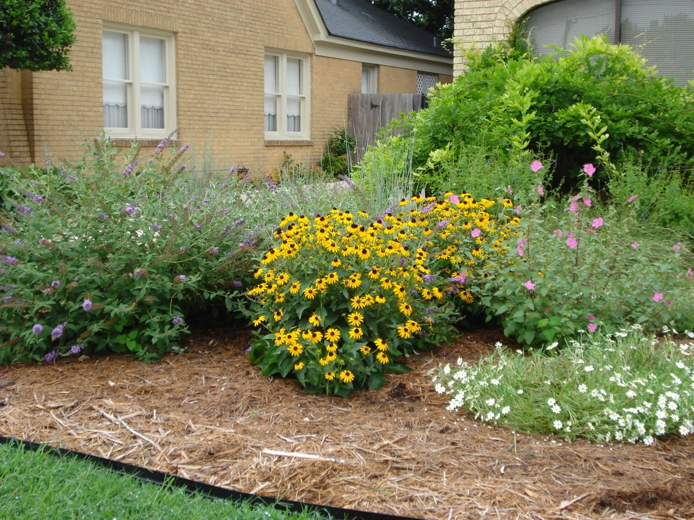 Xeriscape by Happy Gardens - Photo 6