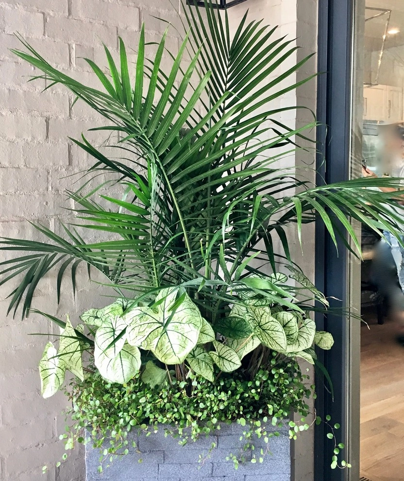 Summer Container Gardens by Adorn - Photo 25