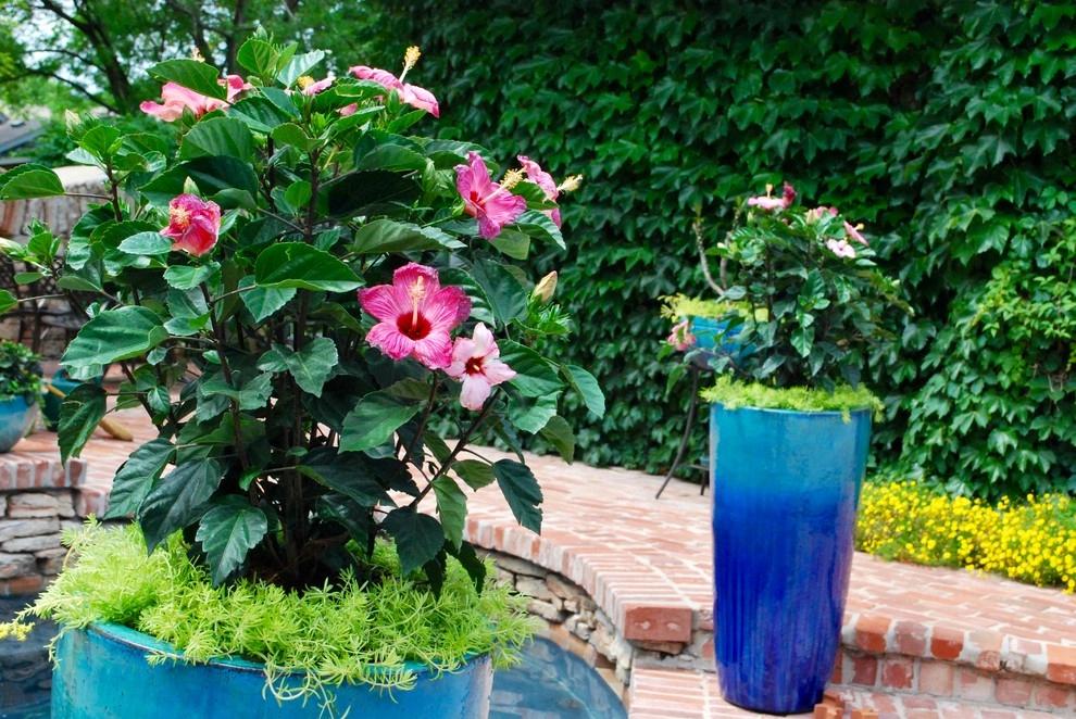 Summer Container Gardens by Adorn - Photo 17