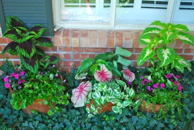 Summer Container Gardens by Adorn - Photo 14