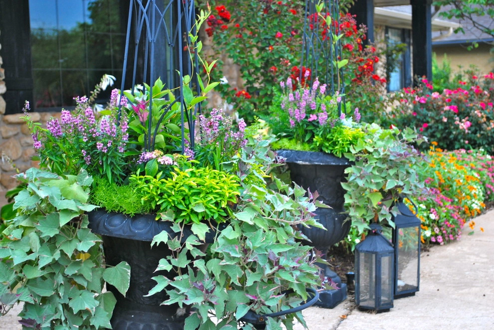 Summer Container Gardens by Adorn - Photo 7