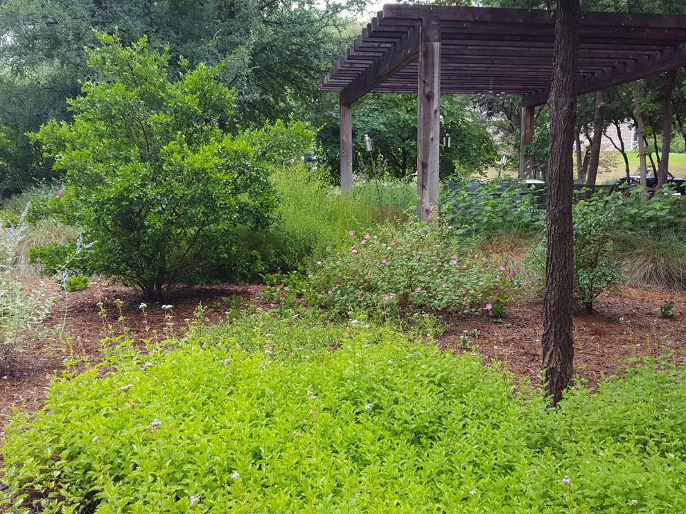 Drought tolerant and wildlife friendly front yard transformation by Happy Gardens - Photo 41