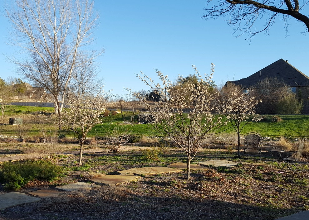 Drought tolerant and wildlife friendly front yard transformation by Happy Gardens - Photo 33
