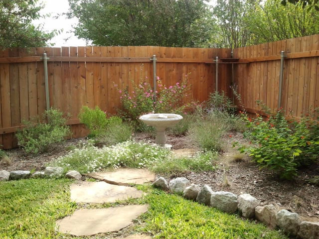 Xeriscape by Happy Gardens - Photo 5