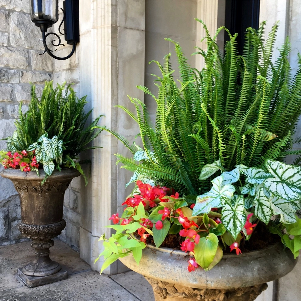 Summer Container Gardens by Adorn - Photo 31