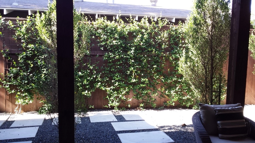 Clean lines by Happy Gardens - Photo 4