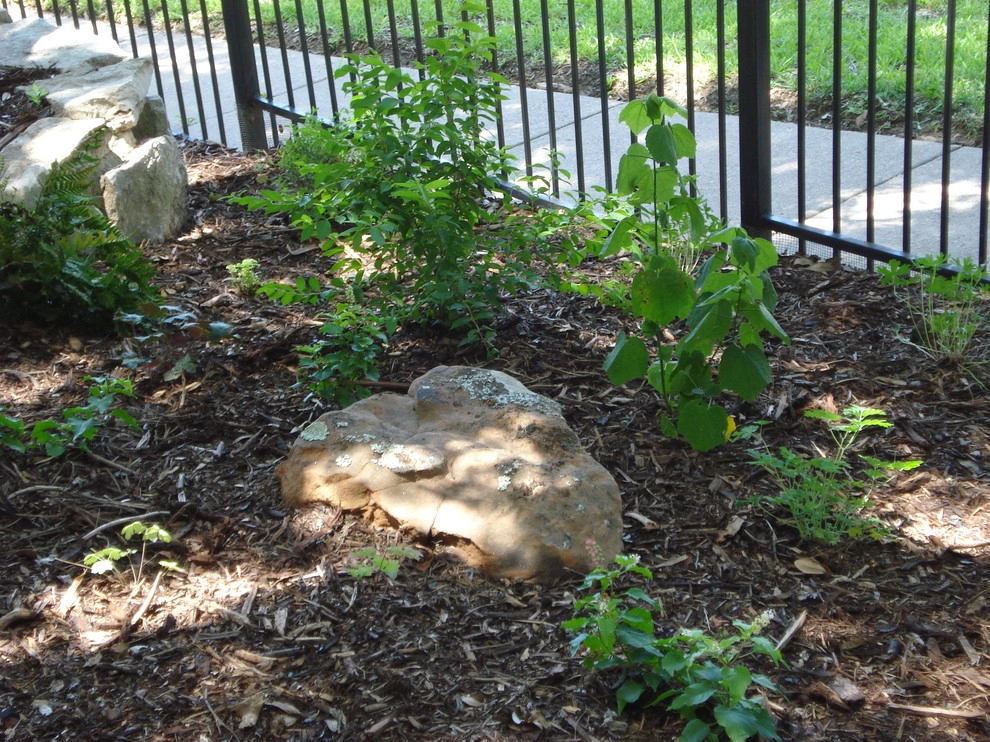 Shade garden with dry creek by Happy Gardens - Photo 4
