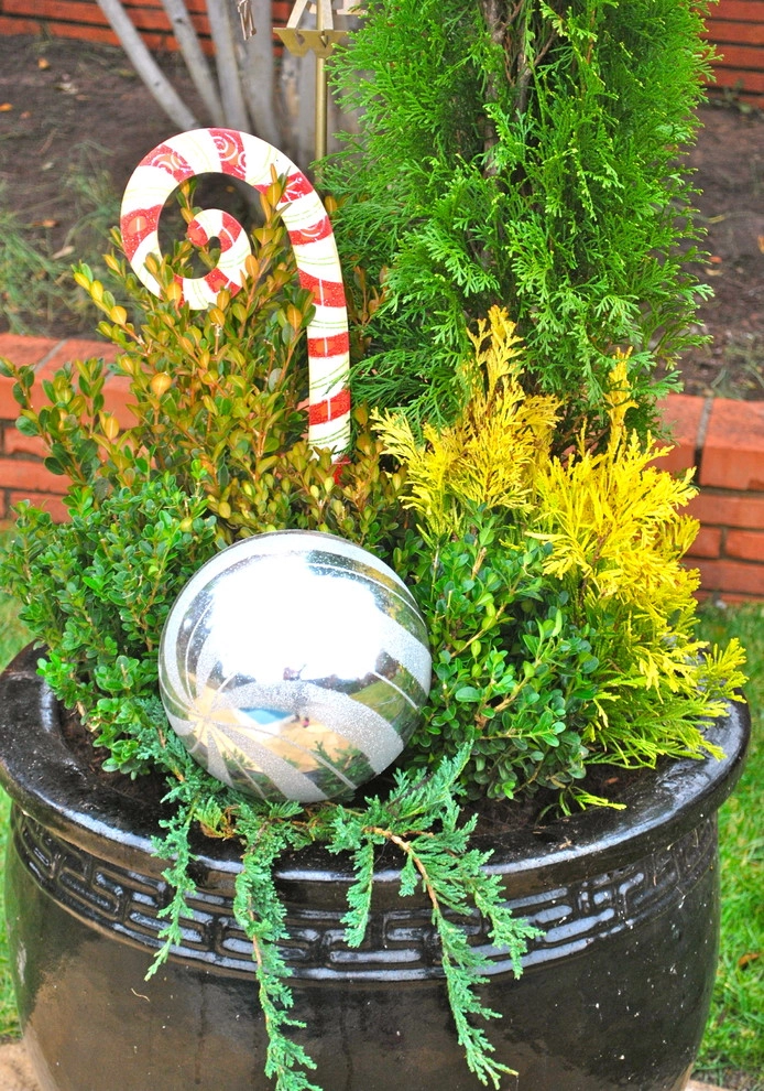 Winter Container Gardens by Adorn - Photo 14