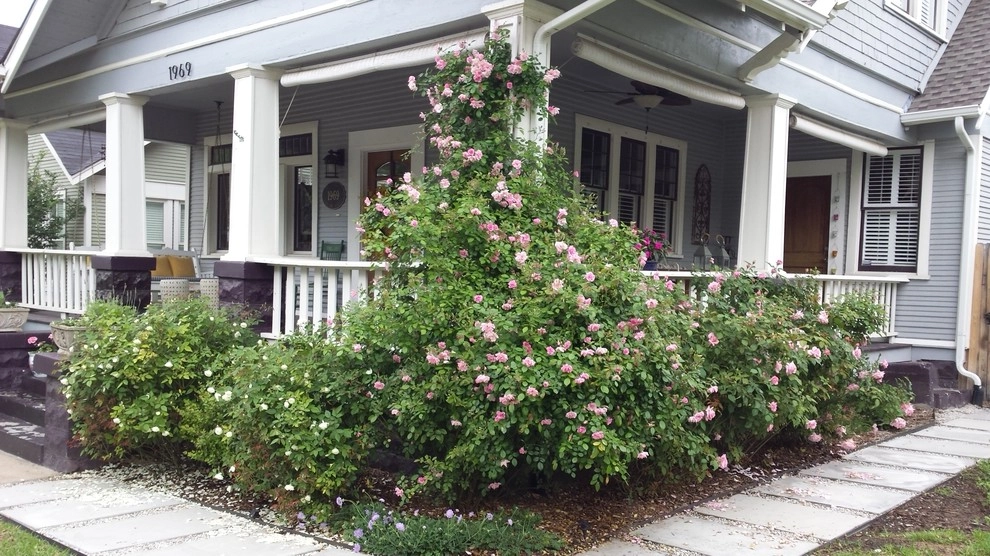 Natural front and back yard landscaping by Happy Gardens - Photo 4
