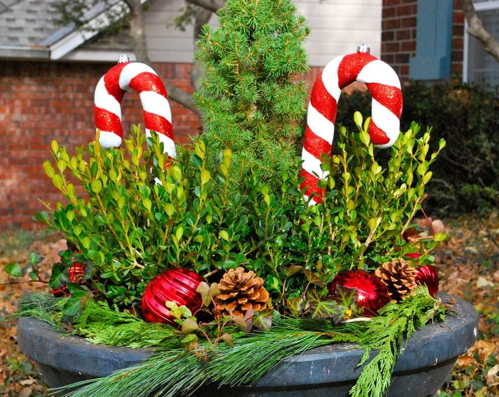 Winter Container Gardens by Adorn - Photo 10
