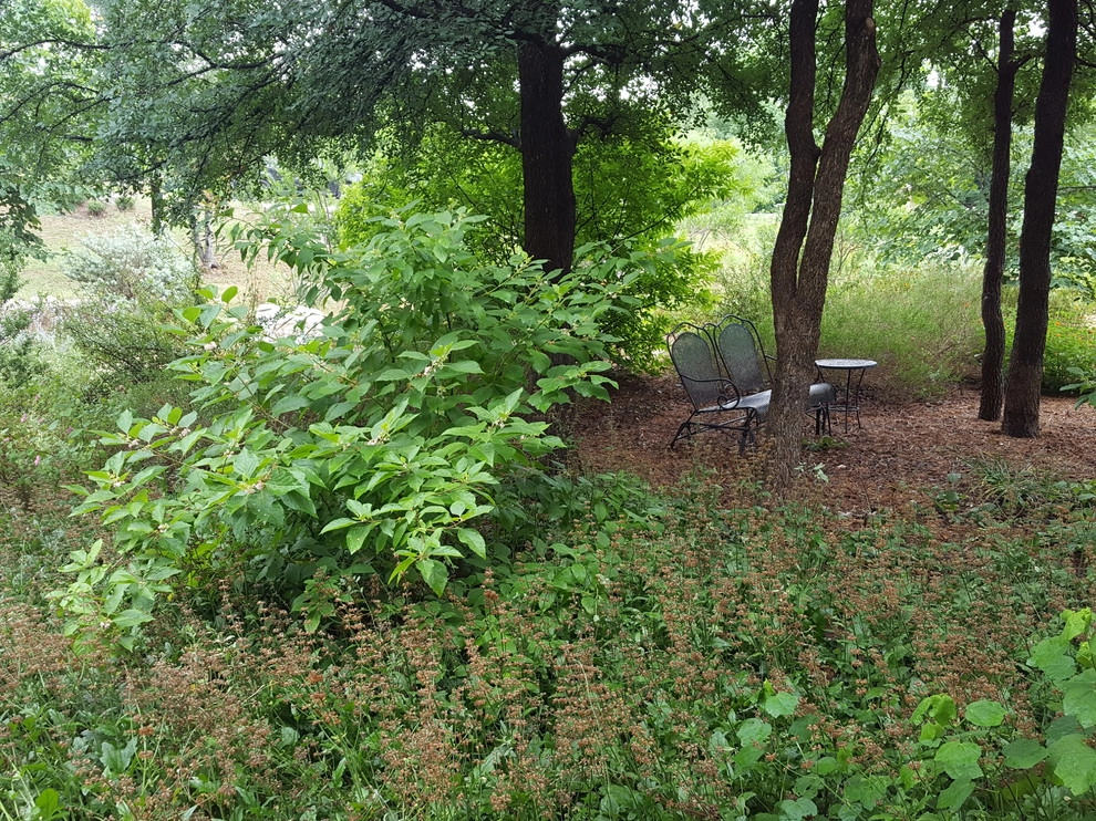 Drought tolerant and wildlife friendly front yard transformation by Happy Gardens - Photo 24