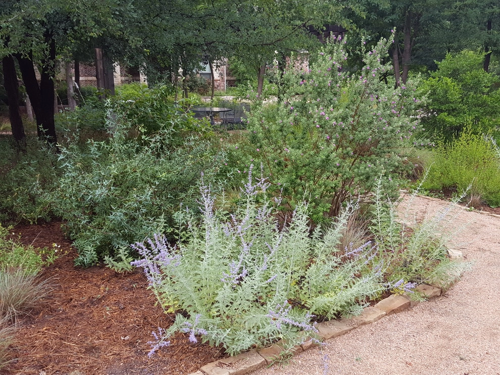 Drought tolerant and wildlife friendly front yard transformation by Happy Gardens - Photo 29