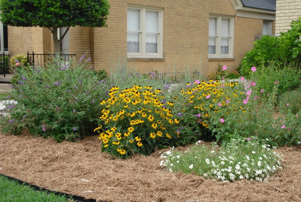 Xeriscape by Happy Gardens - Photo 7