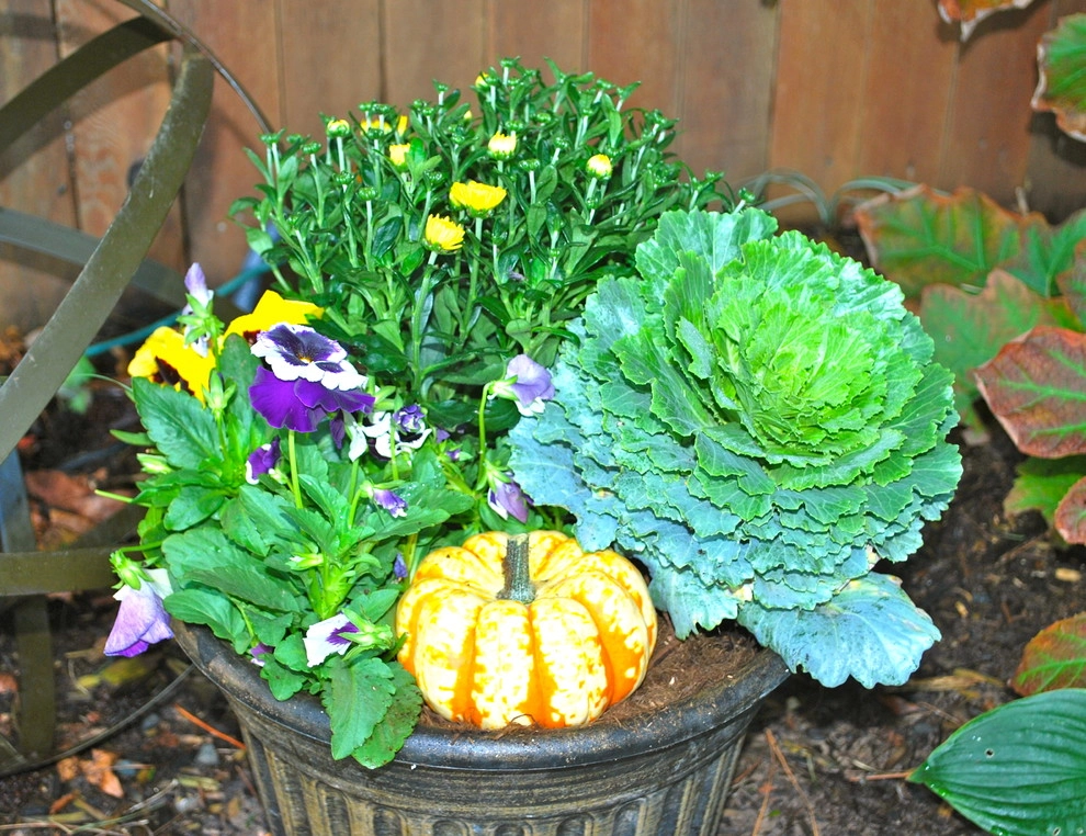 Fall Container Gardens by Adorn - Photo 31