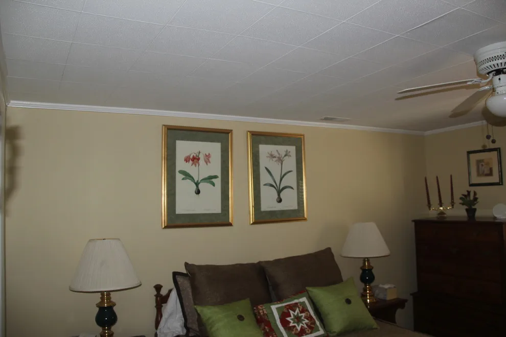 Master Bedroom in the Basement by Two Brothers Handyman & Home Improvement Service - Photo 3