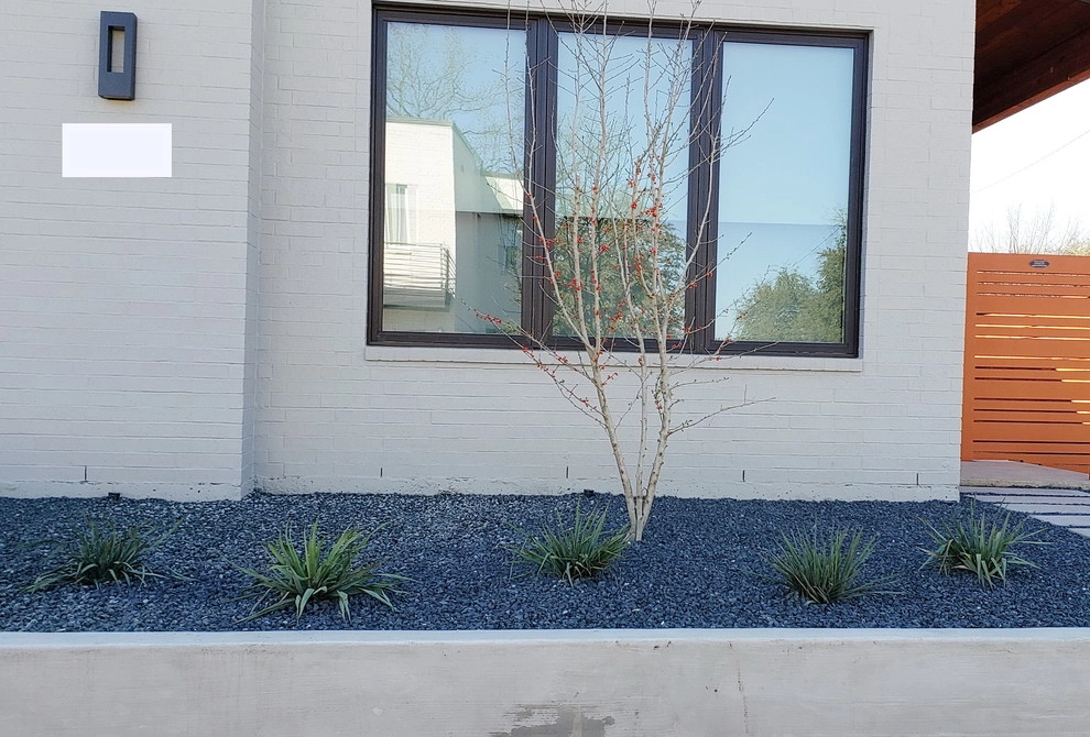 Modern but rooted in Texas by Happy Gardens - Photo 4