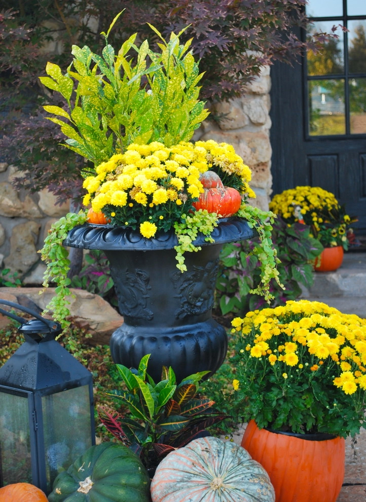 Fall Container Gardens by Adorn - Photo 49
