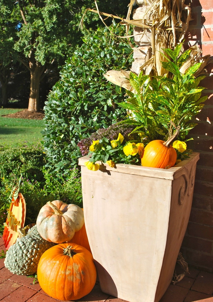 Fall Container Gardens by Adorn - Photo 19