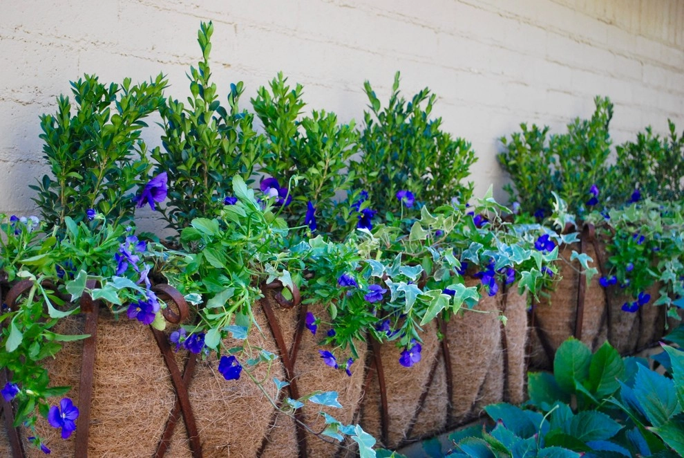 Fall Container Gardens by Adorn - Photo 11