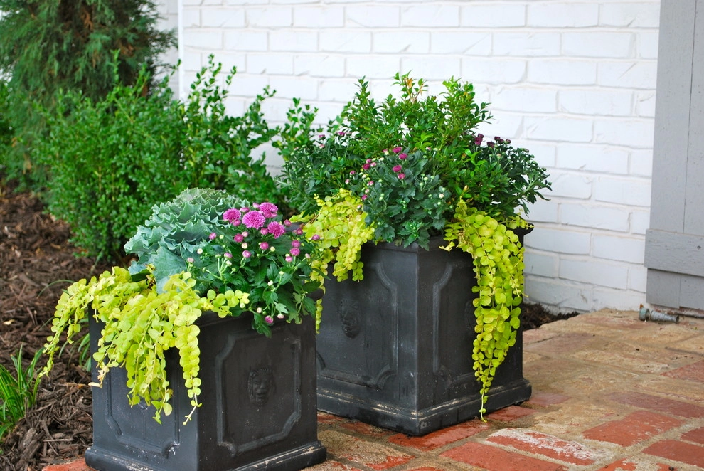 Fall Container Gardens by Adorn - Photo 21