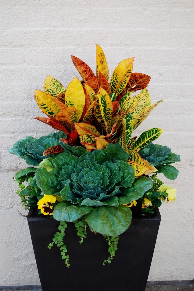 Fall Container Gardens by Adorn - Photo 46