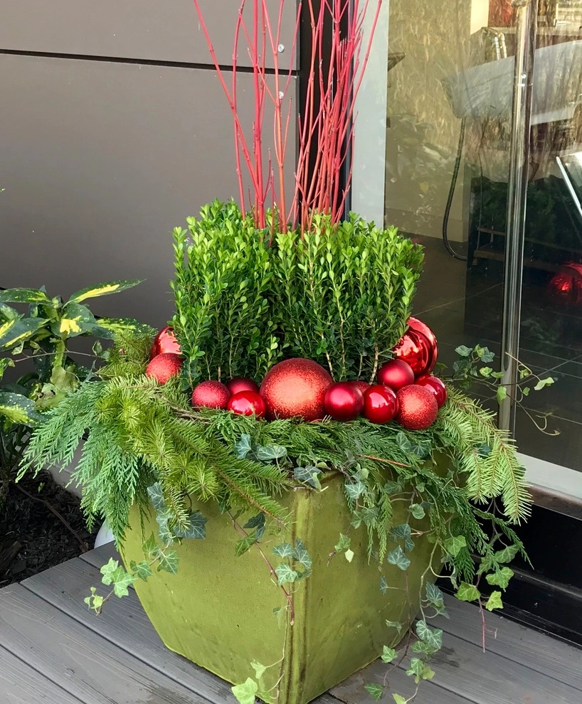 Holiday Container Gardens by Adorn - Photo 8