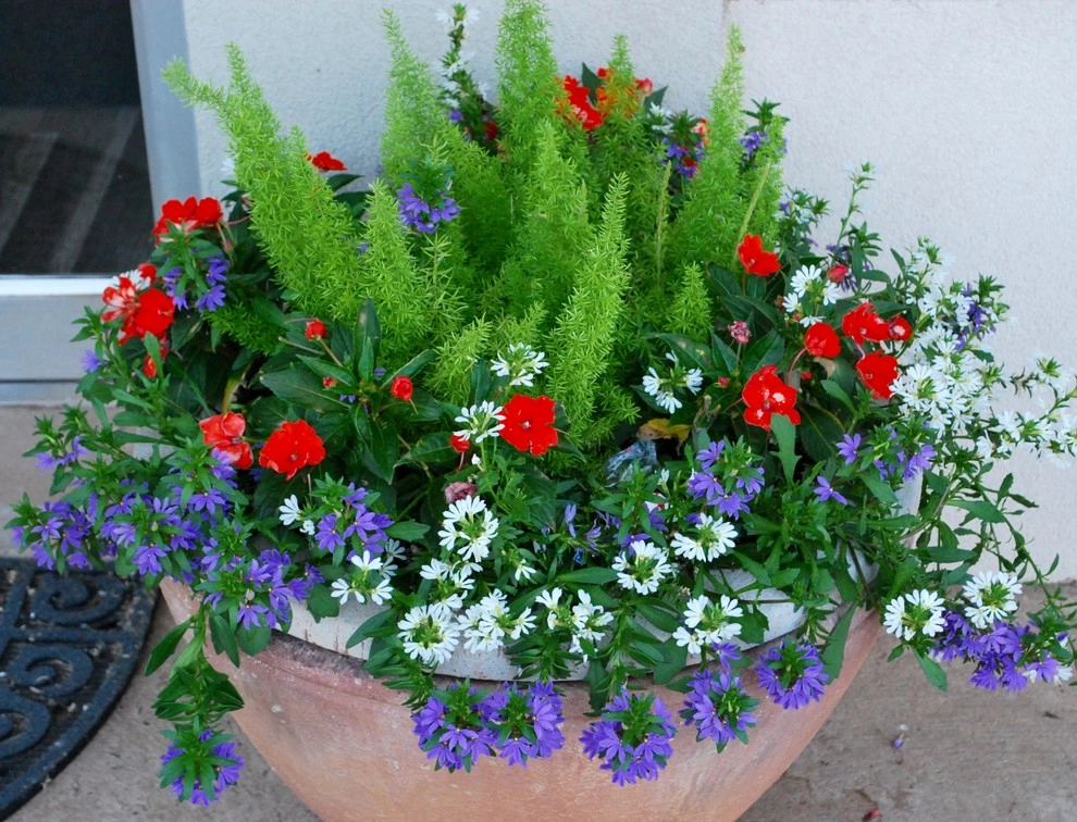 Summer Container Gardens by Adorn - Photo 28