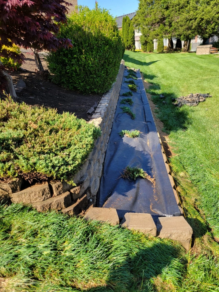 Alberto Alavez Professional Lawn Services LLC 15 by Alberto Alavez Professional Lawn Services LLC - Photo 2