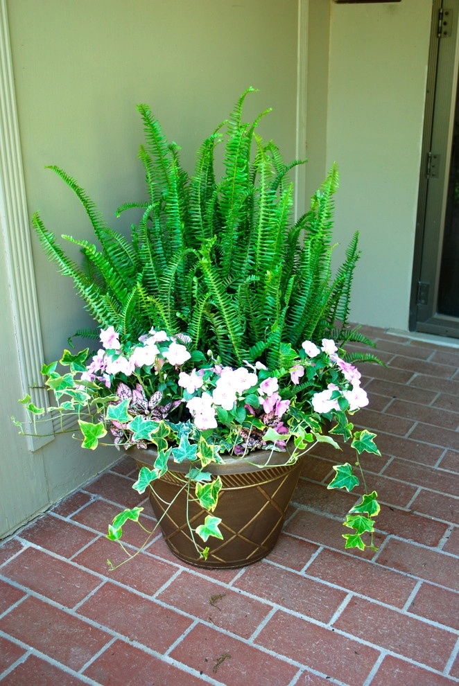 Summer Container Gardens by Adorn - Photo 27