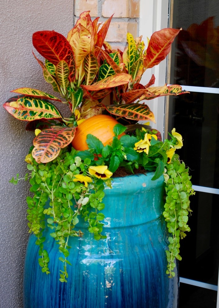 Fall Container Gardens by Adorn - Photo 12