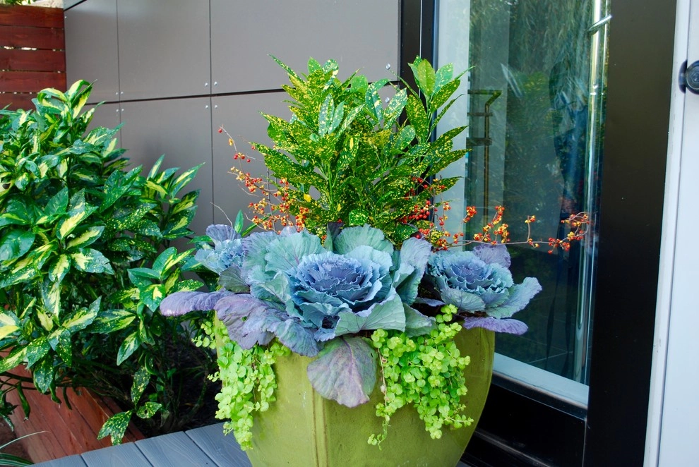 Fall Container Gardens by Adorn - Photo 54
