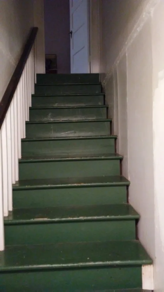 Basement Renovation by Cruz Masters LLC - Photo 5