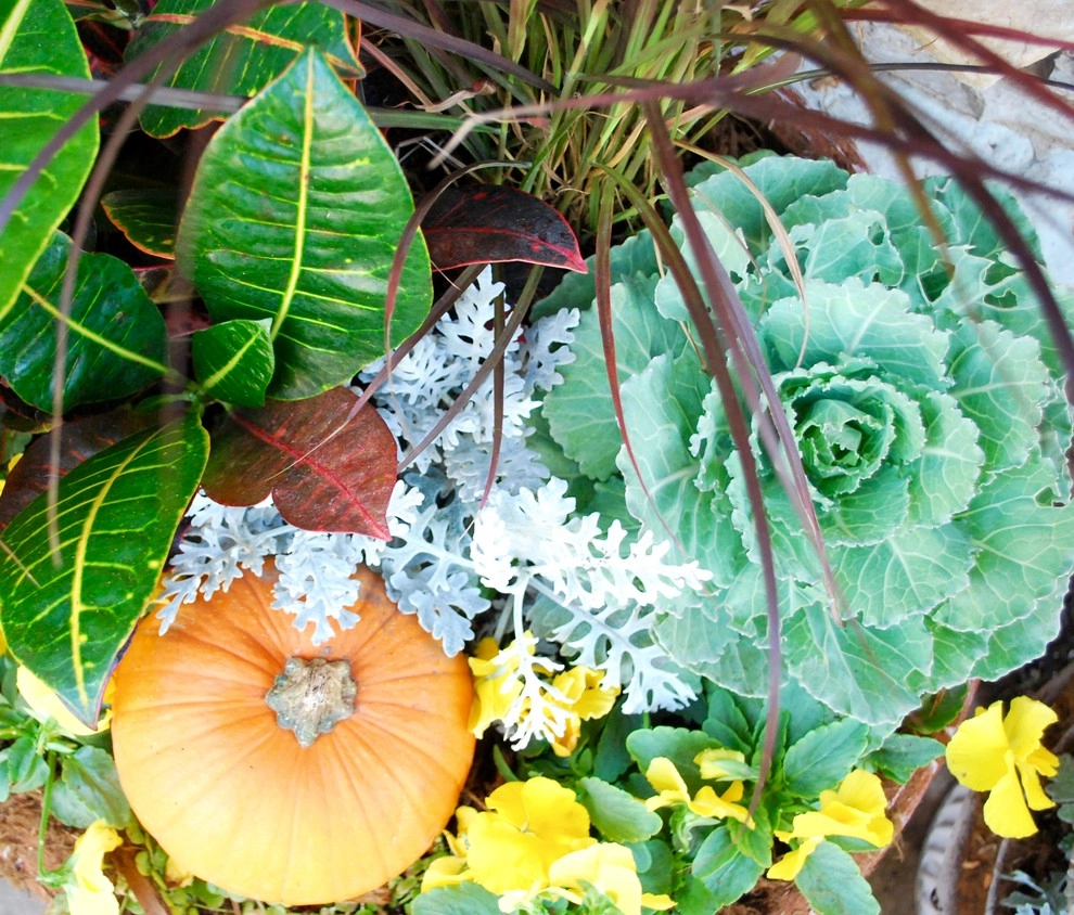 Fall Container Gardens by Adorn - Photo 42