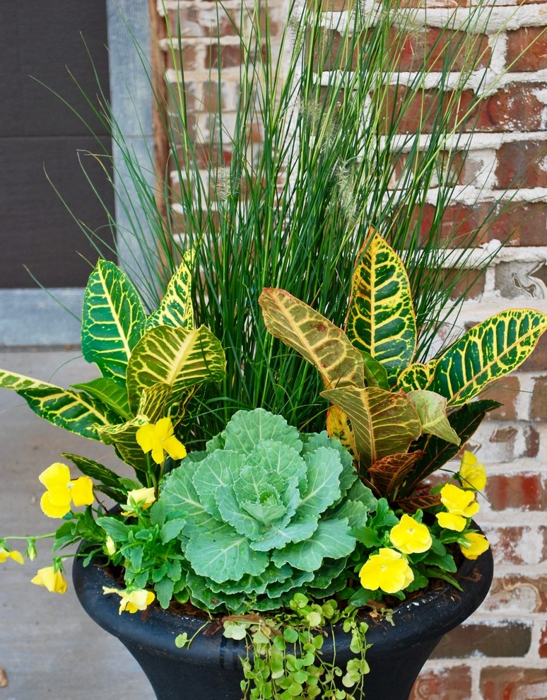 Fall Container Gardens by Adorn - Photo 17