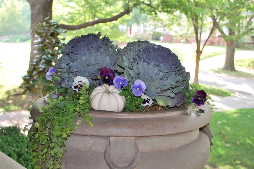 Fall Container Gardens by Adorn - Photo 47