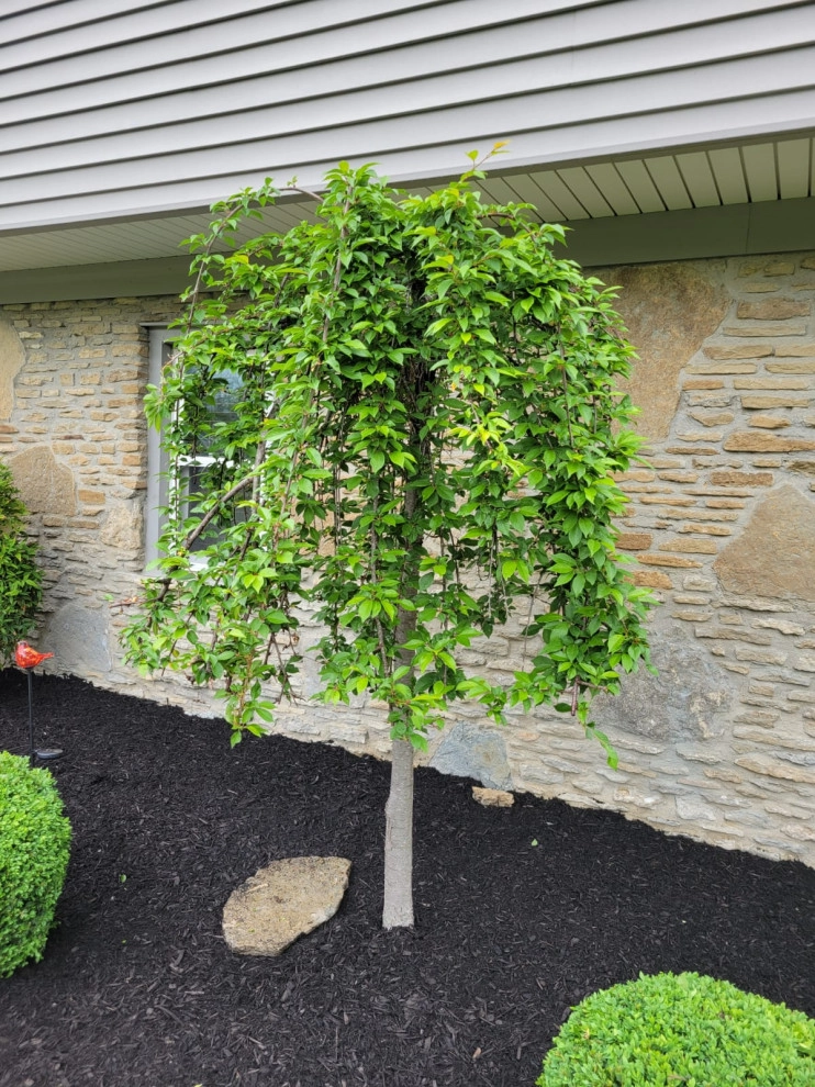 Alberto Alavez Professional Lawn Services LLC 17 by Alberto Alavez Professional Lawn Services LLC - Photo 3