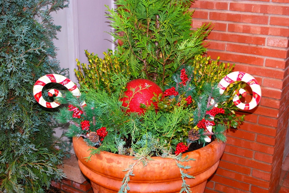 Winter Container Gardens by Adorn - Photo 11