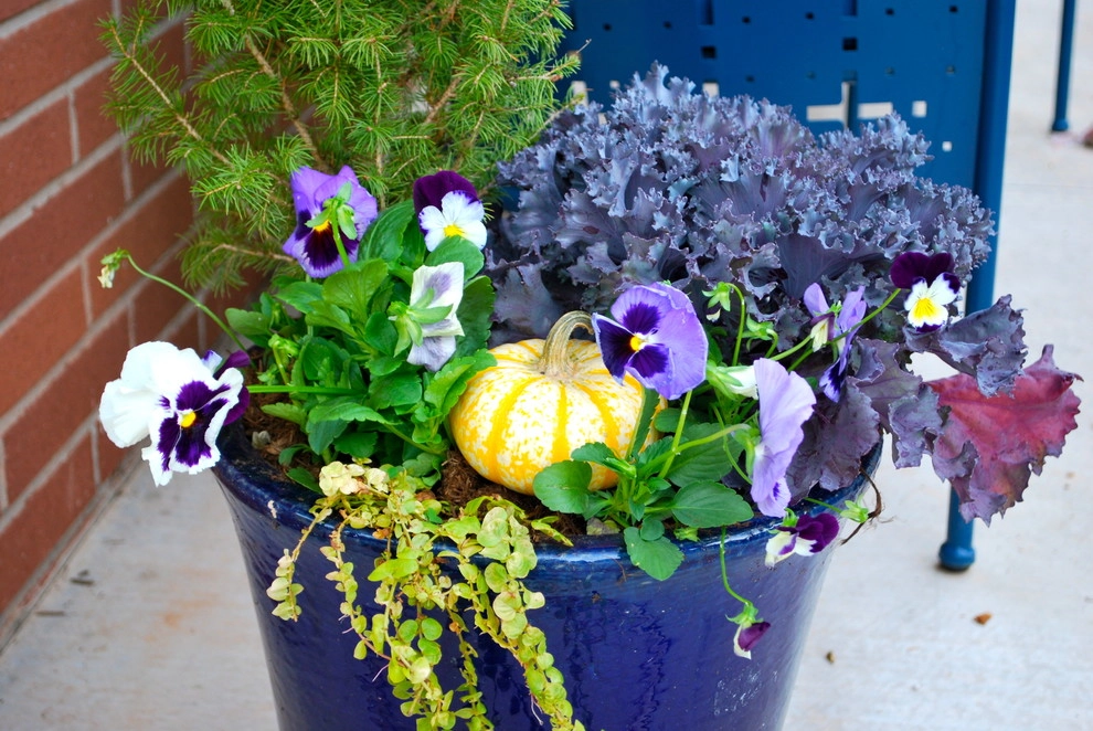 Fall Container Gardens by Adorn - Photo 58