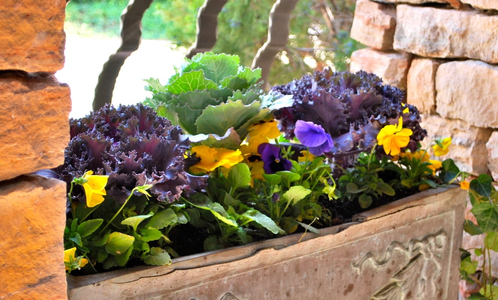 Fall Container Gardens by Adorn - Photo 61