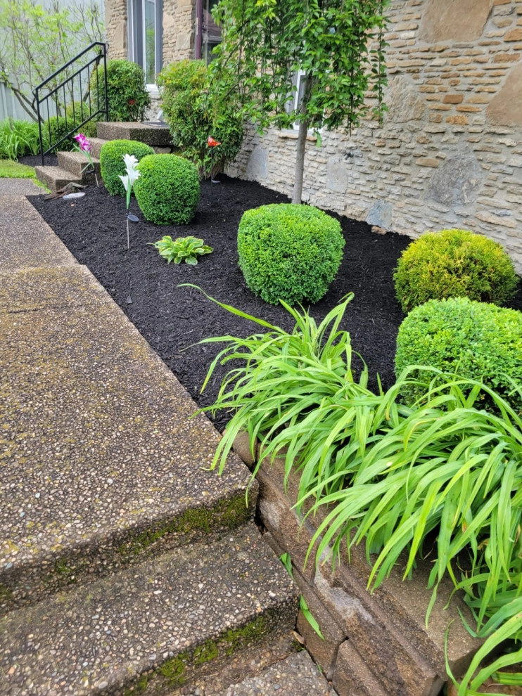 Alberto Alavez Professional Lawn Services LLC 17 by Alberto Alavez Professional Lawn Services LLC - Photo 2