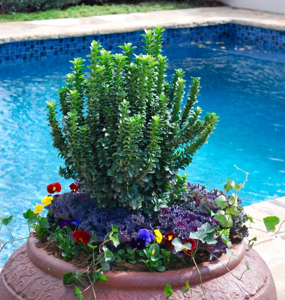 Fall Container Gardens by Adorn - Photo 37