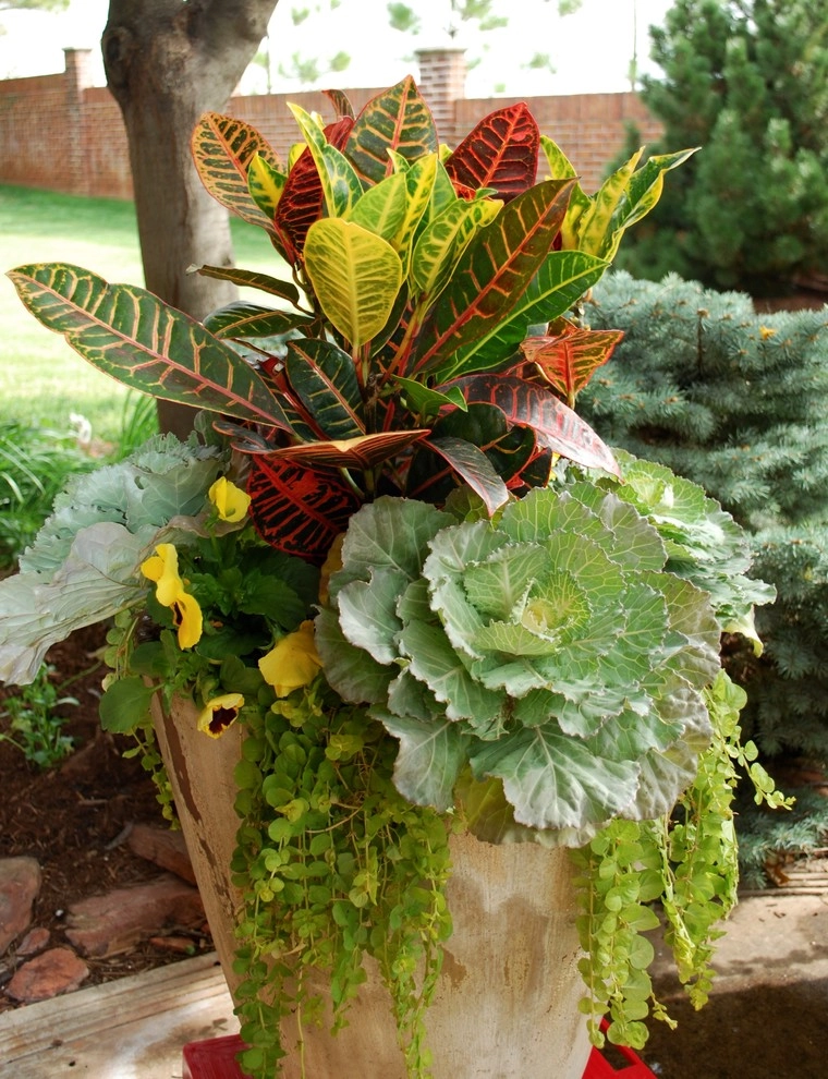 Fall Container Gardens by Adorn - Photo 8