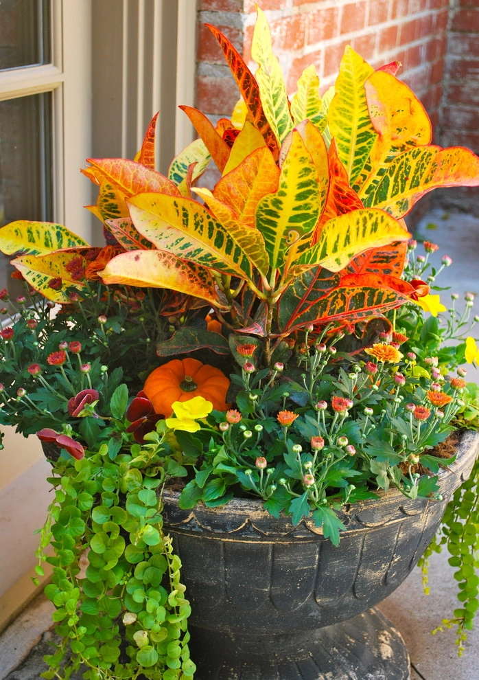 Fall Container Gardens by Adorn - Photo 7