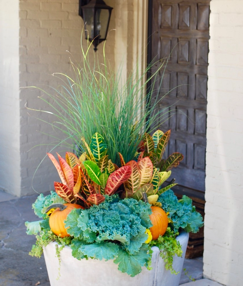 Fall Container Gardens by Adorn - Photo 23