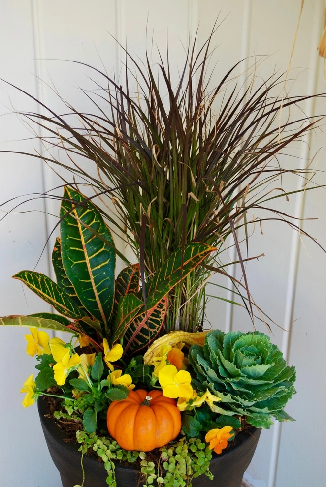 Fall Container Gardens by Adorn - Photo 29