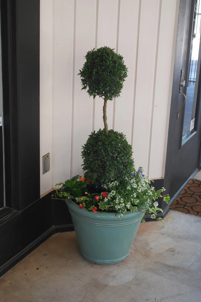 Summer Container Gardens by Adorn - Photo 12