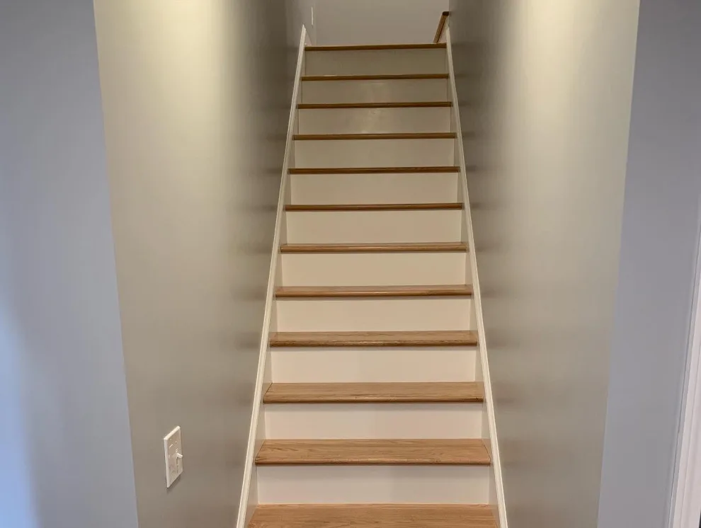 Transformed Basement into Full Living Area by Built By Josh LLC - Photo 2