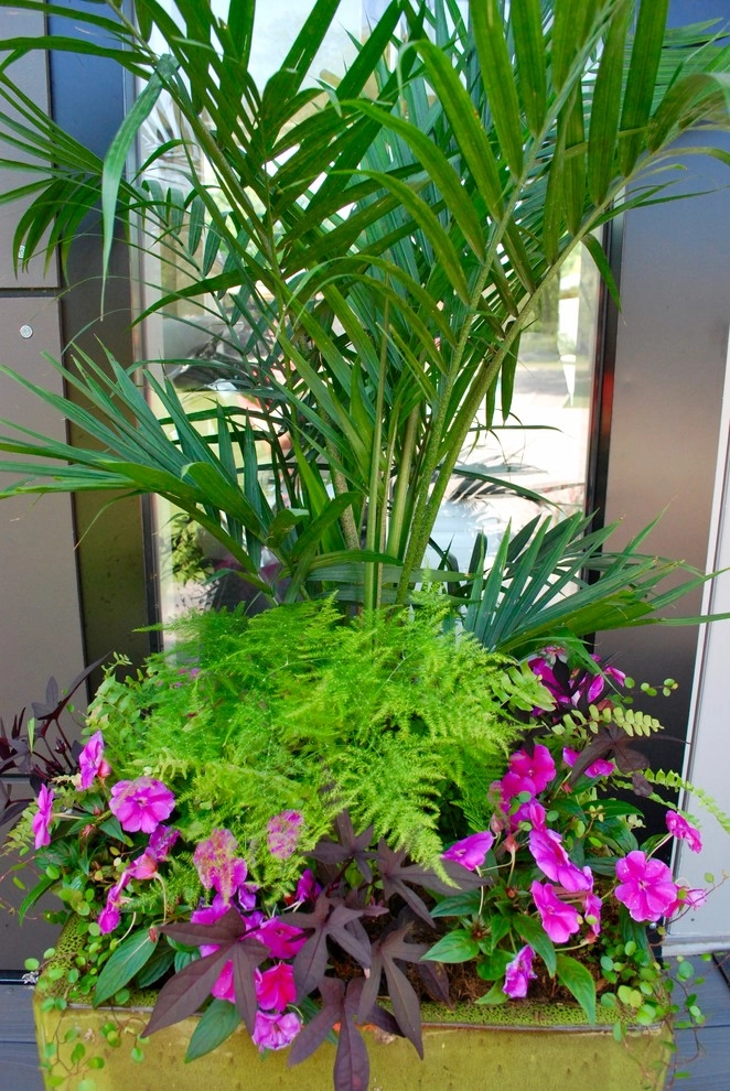 Summer Container Gardens by Adorn - Photo 32
