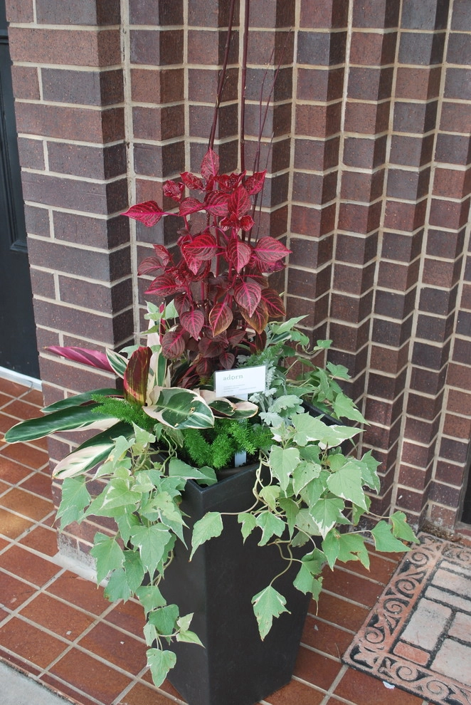 Summer Container Gardens by Adorn - Photo 26