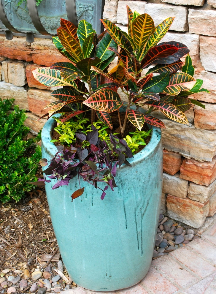 Summer Container Gardens by Adorn - Photo 22